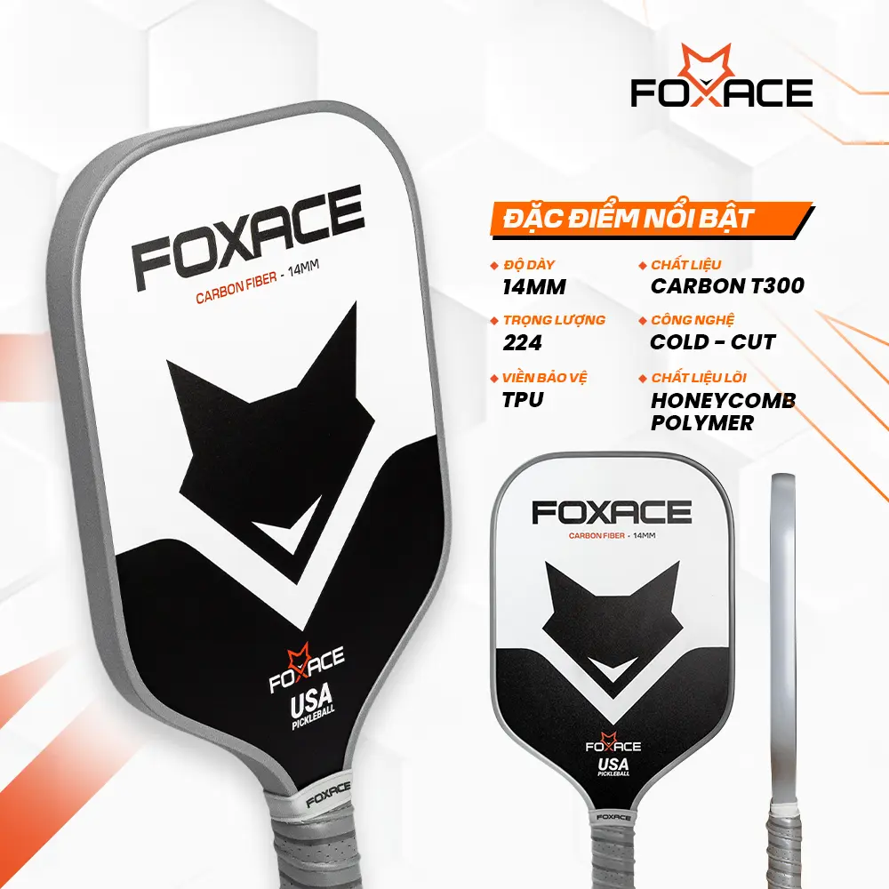 Top 3 dòng vợt pickleball đang kinh doanh tại FOXACE