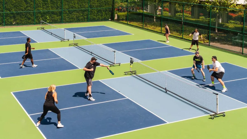 Phân biệt pickleball và squash Nên chọn pickleball và squash Phân biệt pickleball và squash Nên chọn pickleball và squash
