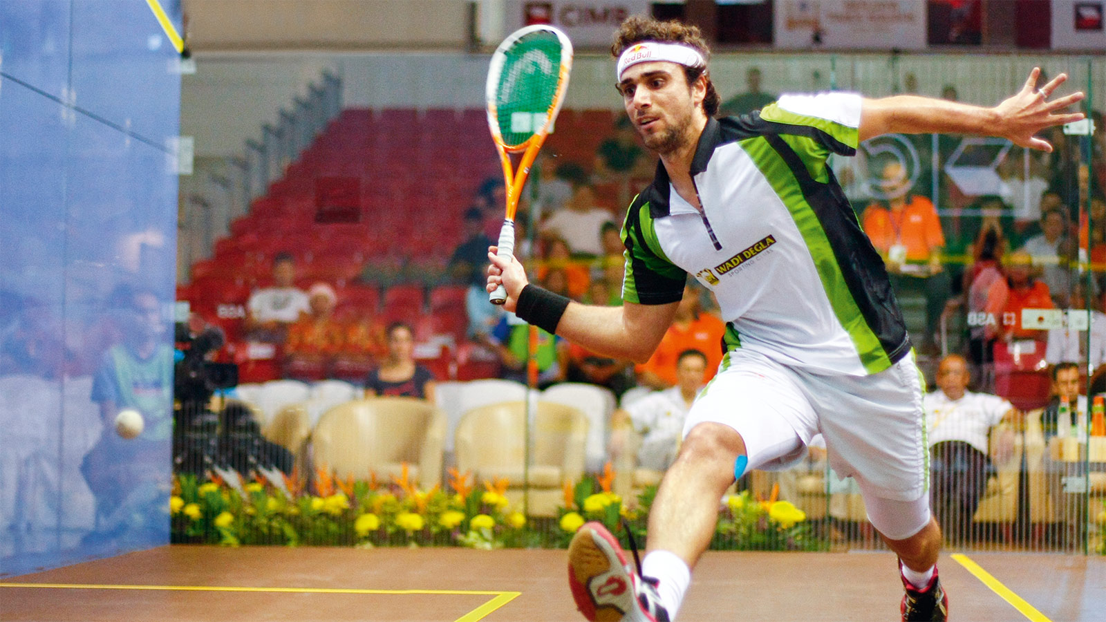 Phân biệt pickleball và squash Nên chọn pickleball và squash Phân biệt pickleball và squash Nên chọn pickleball và squash